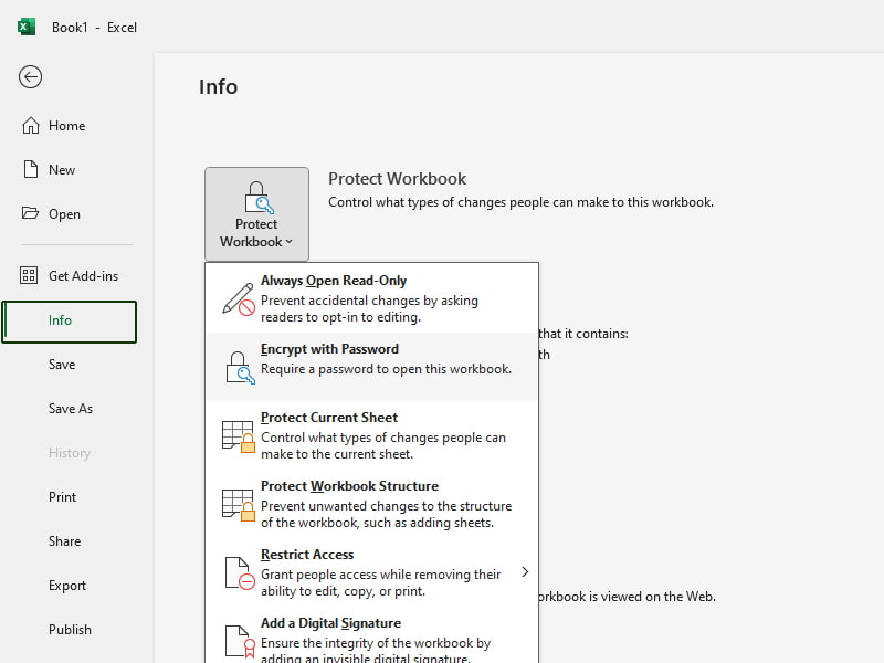 How to Password Protect Your Files Safely in Excel ?