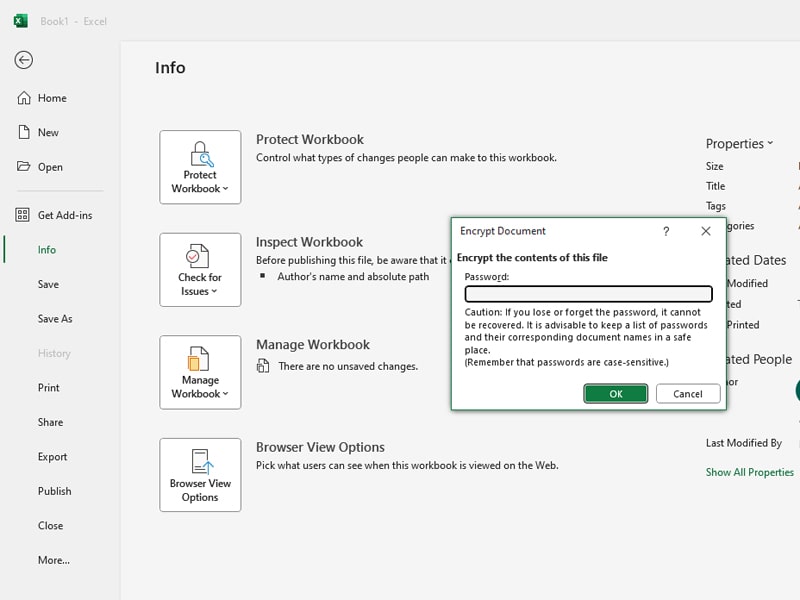 How to Password Protect Your Files Safely in Excel ?